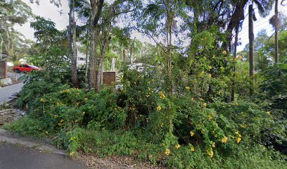 Mejores dentistas en Byron Bay, Nueva Gales del Sur, Australia